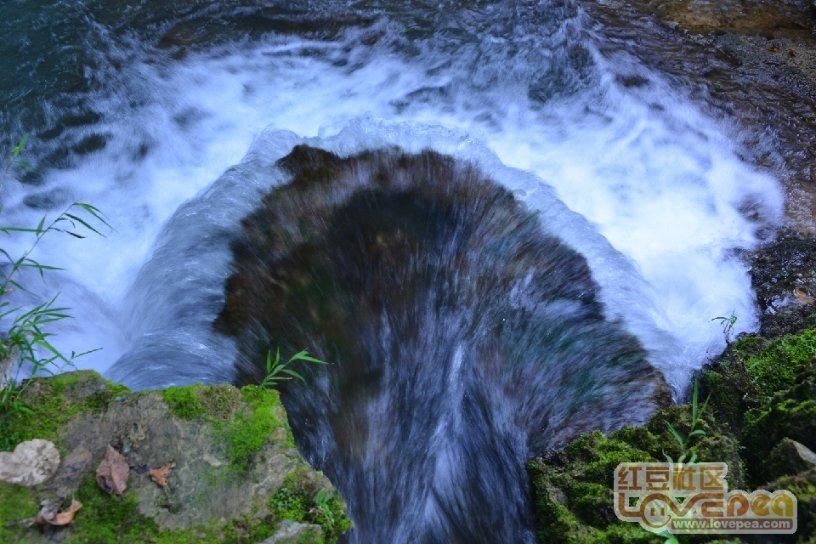 机智问答网页-几月什么花什么填空?精彩解答